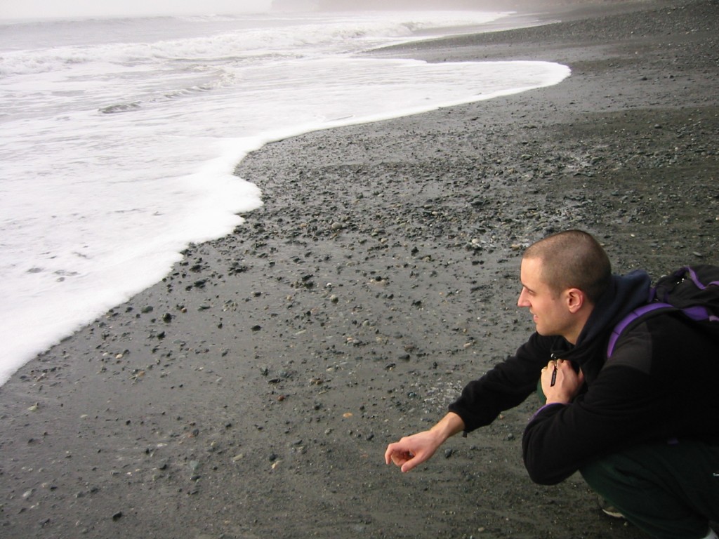 Sandcut Beach (2005)